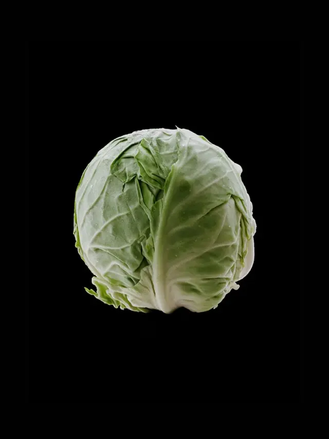 甘蓝